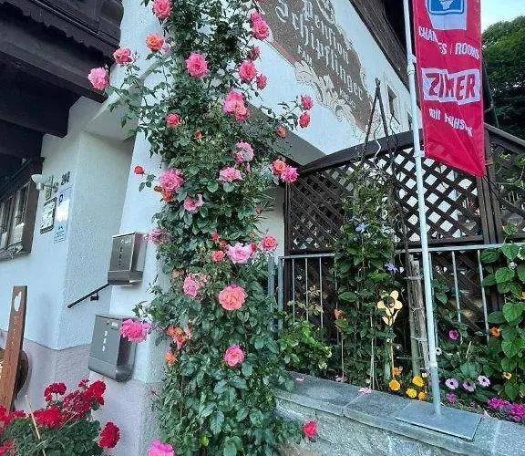 Schipflinger 3* 잘바흐 힌터글렘